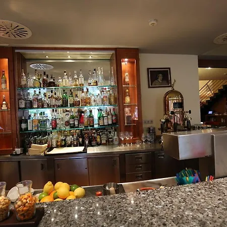Savigny Frankfurt 4* Fráncfort del Meno