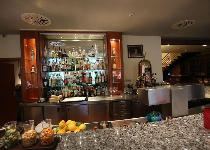 Savigny Frankfurt 4* Francoforte sul Meno